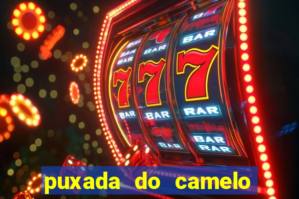 puxada do camelo no jogo do bicho